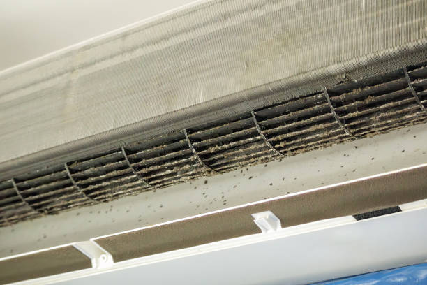 Best Best Air Duct Cleaning Company  in Friars Point, MS